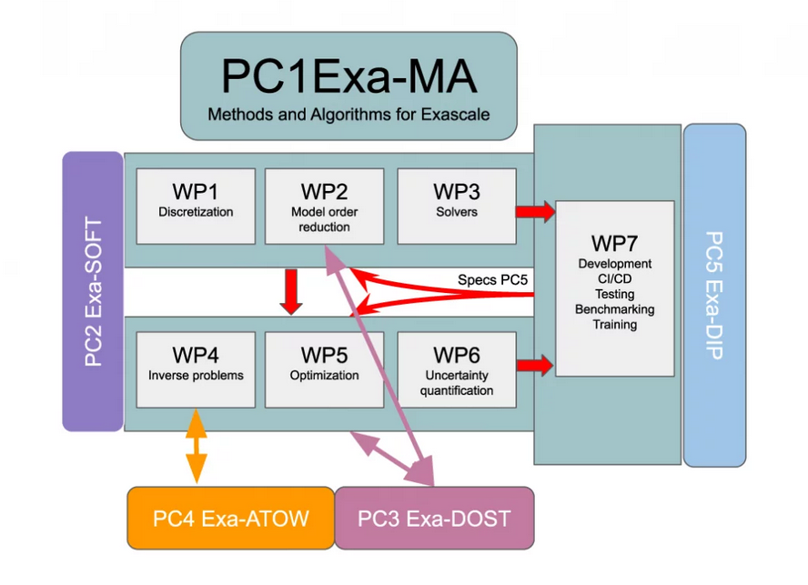 exama overview